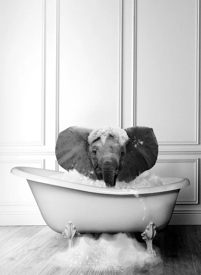 Animal Bath In Bathtub Poster Canvas