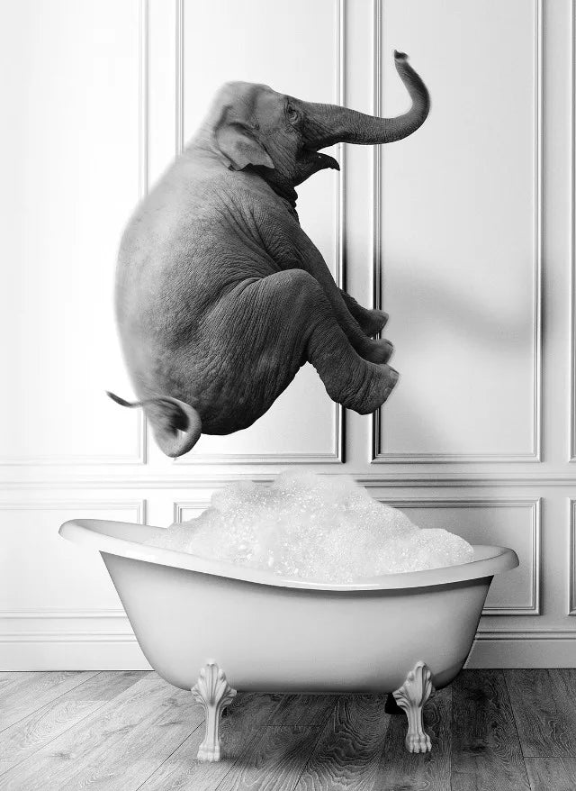 Animal Bath In Bathtub Poster Canvas